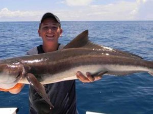 New Jersey Ling Cobia Fishing