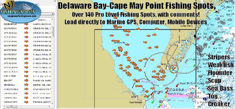 Delaware Bay & Cape May GPS Fishing Spots | Striper, Weakfish, Fluke ...