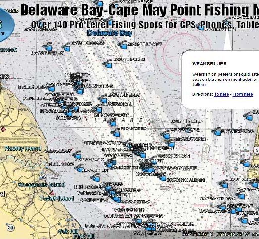Sandy Hook to Bayhead New Jersey GPS Fishing Spots