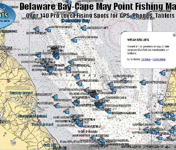 DELAWARE BAY AND CAPE MAY POINT FISHING SPOTS - New Jersey GPS