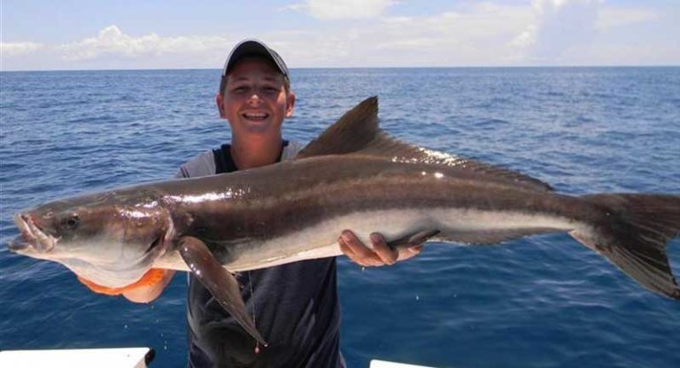 new jersey fishing spots ling New Jersey GPS Fishing Spots