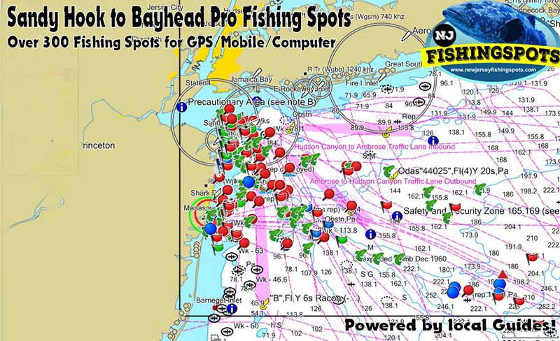 SANDY HOOK TO BAYHEAD/MANASQUAN FISHING SPOTS