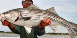 Cape May New Jersey Striper Fishing